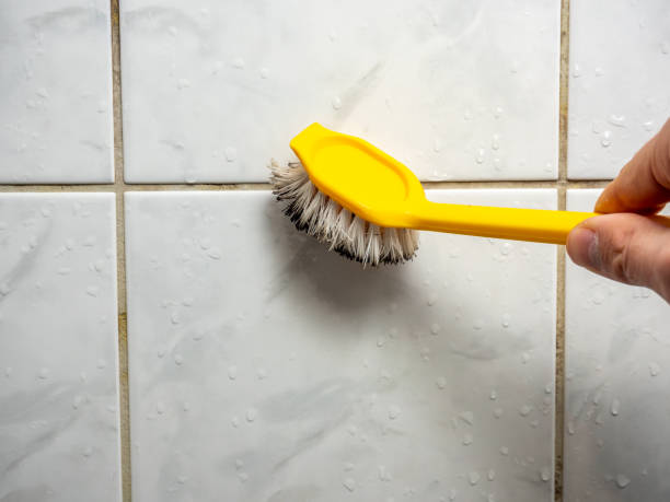 Best Mold Cleaning Services  in Twin City, GA