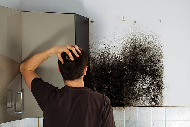 Best Crawl Space Mold Removal  in Twin City, GA